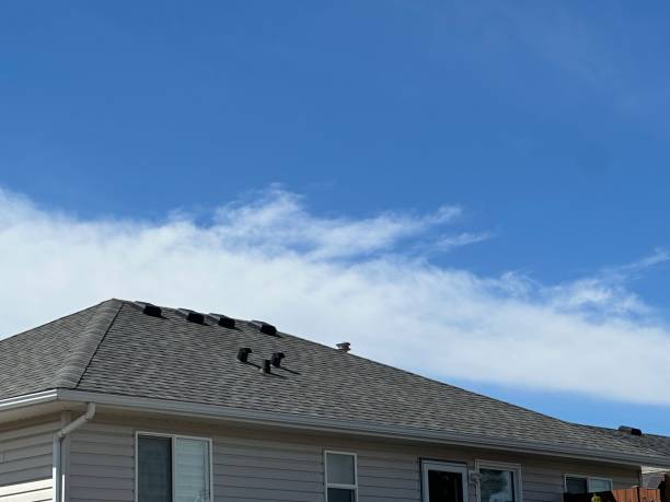 Best Roof Inspection  in Vincent, CA